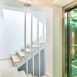 ホテル Venis Boutique 4*