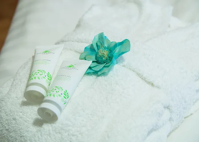 Venis Boutique 4* Bucharest